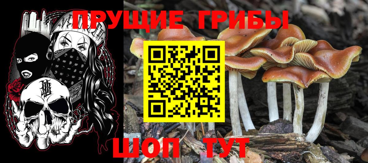 сколько стоит  Вход с VPN  Ростов Великий  Галлюциногенные грибы прущие грибы 